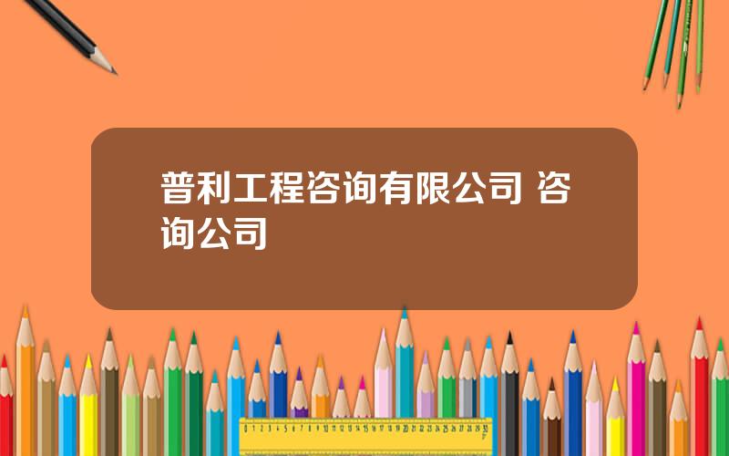 普利工程咨询有限公司 咨询公司